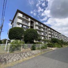 府中団地5号棟：和泉市中古マンション