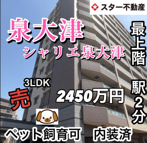 【ペット飼育可　泉大津  徒歩2分 　内装済み 12階マンション】